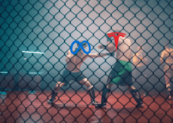 billionaire cage fight