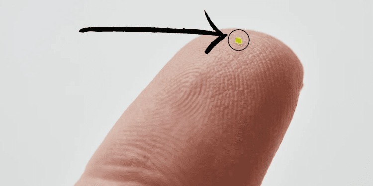 microscopic louis vuitton bag