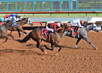 Source: https://www.visitruidoso.com/ruidoso-downs-2021-season/