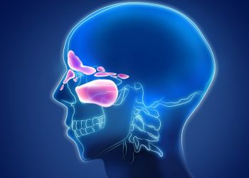 How to Tell If a Sinus Infection Has Spread to the Brain