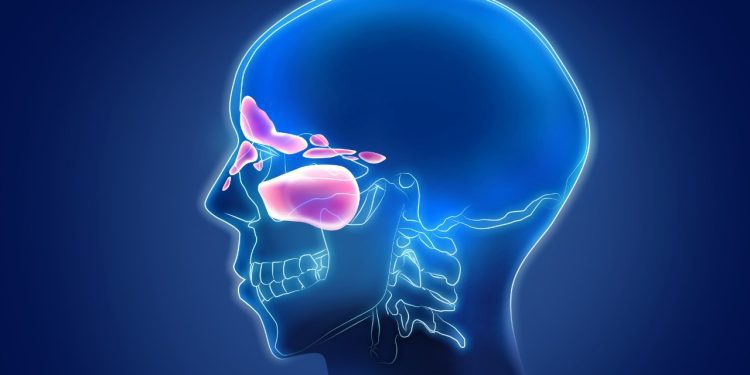 How to Tell If a Sinus Infection Has Spread to the Brain