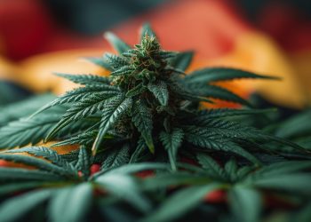 Cannabis on the background of the flag, created using Generative AI technology.