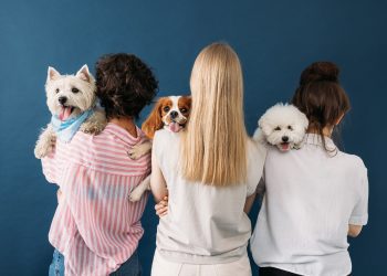 Back view of a three woman holding their dogs on shoulders while standing in studio