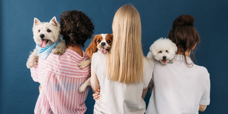 Back view of a three woman holding their dogs on shoulders while standing in studio