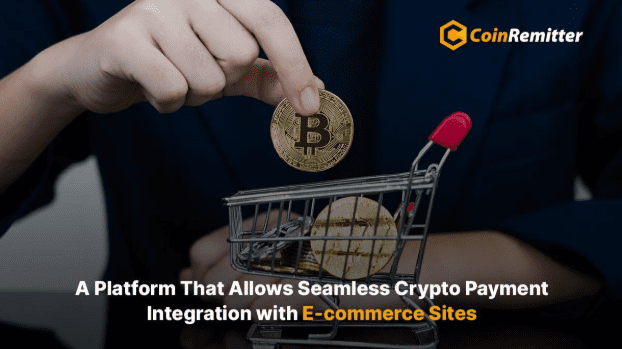 CoinRemitter: A Platform That Allows Seamless Crypto Payment Integration with E-commerce Sites