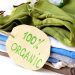 organic cotton clothing manufacturers