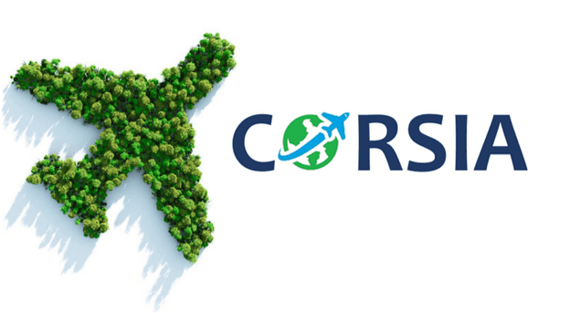 The Future Of Investing: ESG Strategies In Aviation For Family Offices