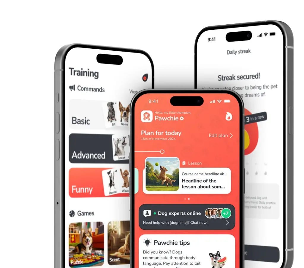 PawChamp Wins Best Pet Care Startup 2026