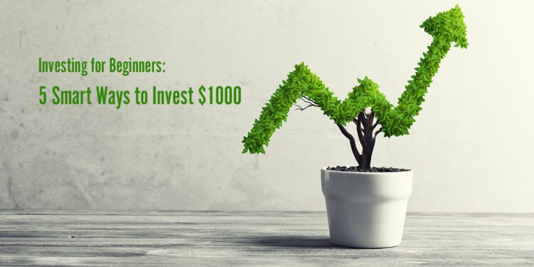 smart ways to invest small amounts of money for beginners