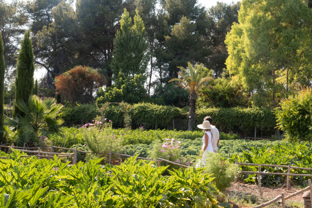 A More Intentional Escape in Ibiza - Atzaró Agroturismo Hotel