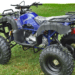 Blue ATV parked on green grass.