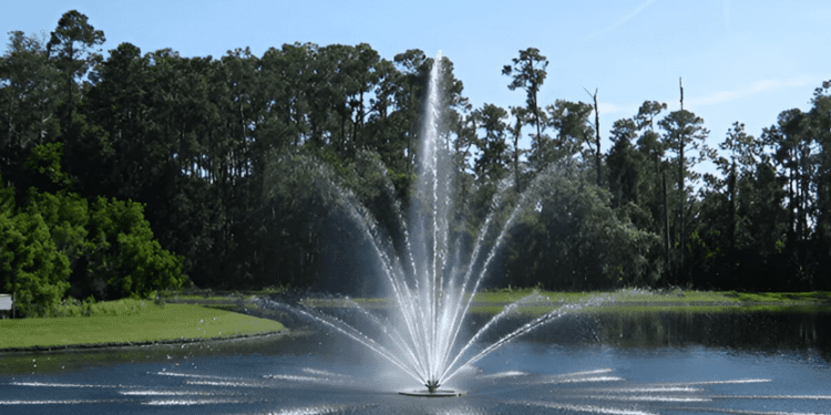 Fountain spraying water in a pond.