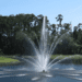 Fountain spraying water in a pond.