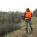 A man with a gun in his hands and an orange vest on a pheasant hunt in a wooded area in cloudy weather. Hunter with dogs in search of game.