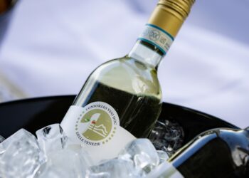 Pinot Grigio DOC delle Venezie bottle shot