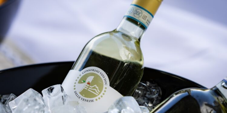 Pinot Grigio DOC delle Venezie bottle shot