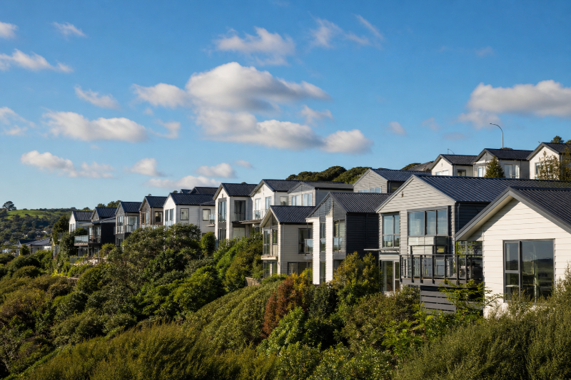 NZ Housing Flatlines A Strategic Signal for Global Investors