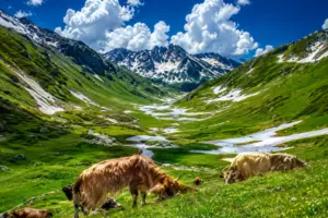 Naran Kaghan Valley
