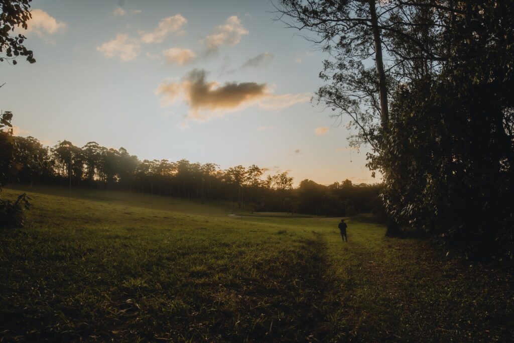 Finding Time to Unwind in a Busy Schedule