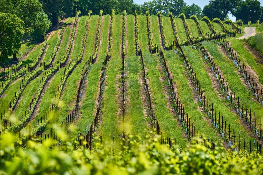 Top 5 Luxury Boutique Hotels in Healdsburg for 2026