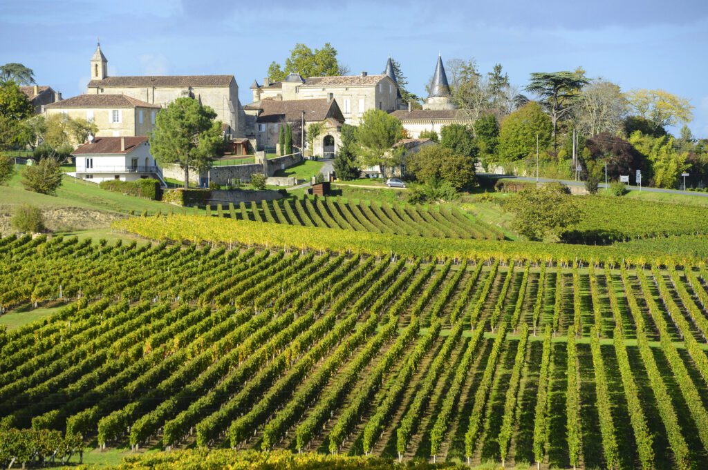 The Most Exclusive French Wine Estates Worth Visiting by Private Jet