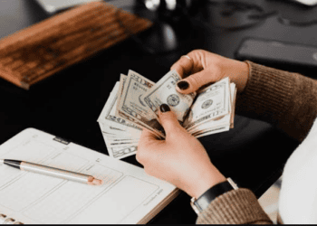Best high-yield savings accounts for beginners