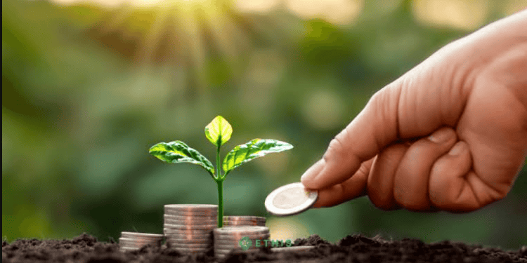 How to start investing with little money
