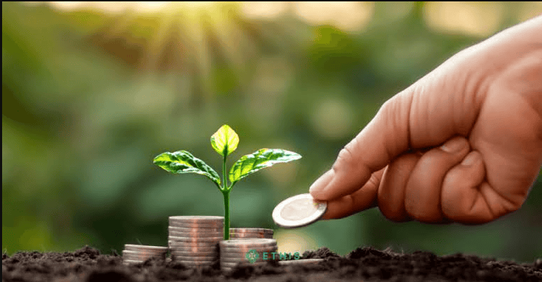 How to start investing with little money