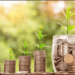 1. Best personal finance tips for beginners