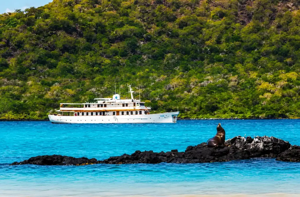 The Ultimate Guide to Luxury Galápagos Islands Cruises
