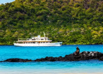 The Ultimate Guide to Luxury Galápagos Islands Cruises