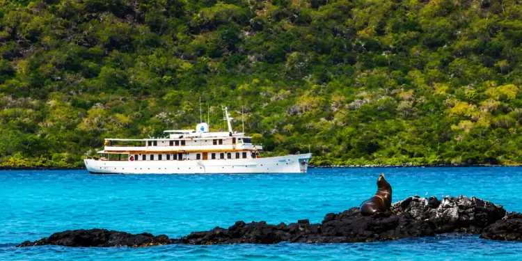 The Ultimate Guide to Luxury Galápagos Islands Cruises