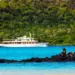 The Ultimate Guide to Luxury Galápagos Islands Cruises