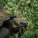 best luxury cruise to galapagos