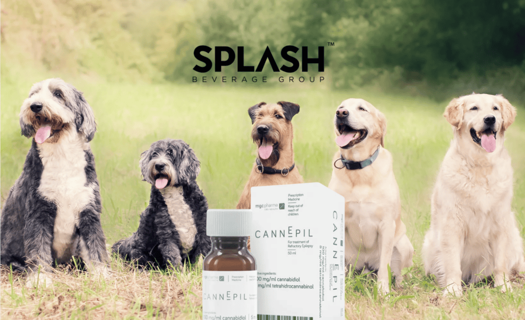 Splash Beverage Group Partnership with CannEpil to bring Epilepsy Drug to Canine Medicine