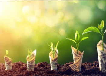 best investment options in Pakistan