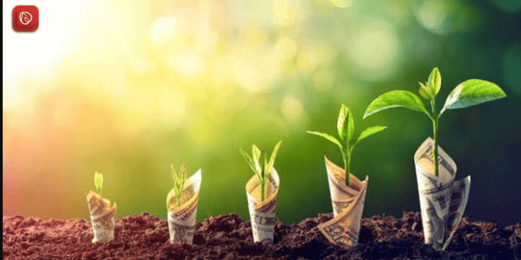 best investment options in Pakistan