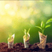 best investment options in Pakistan