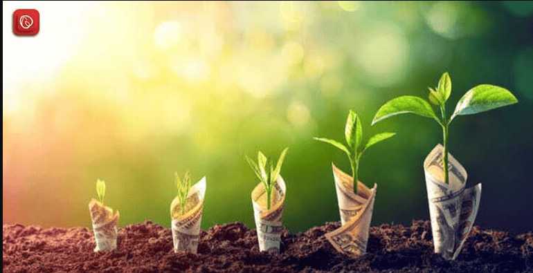 best investment options in Pakistan