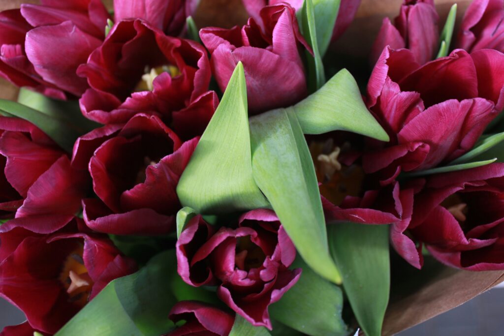 How Luxury Floral Styling Enhances High-End Events
