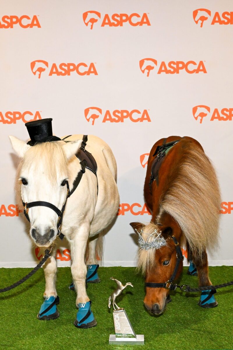 The 2026 ASPCA Humane Awards Luncheon