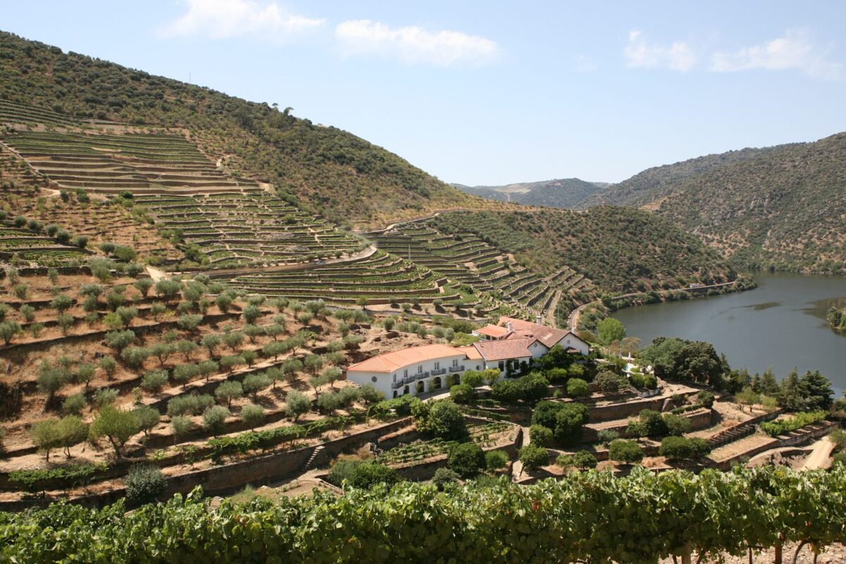 Taylor's - Quinta de Vargellas (1)