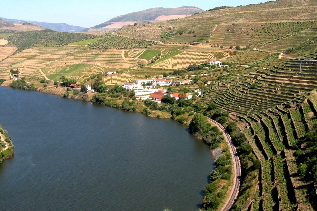 Taylor's - Quinta de Vargellas (3)