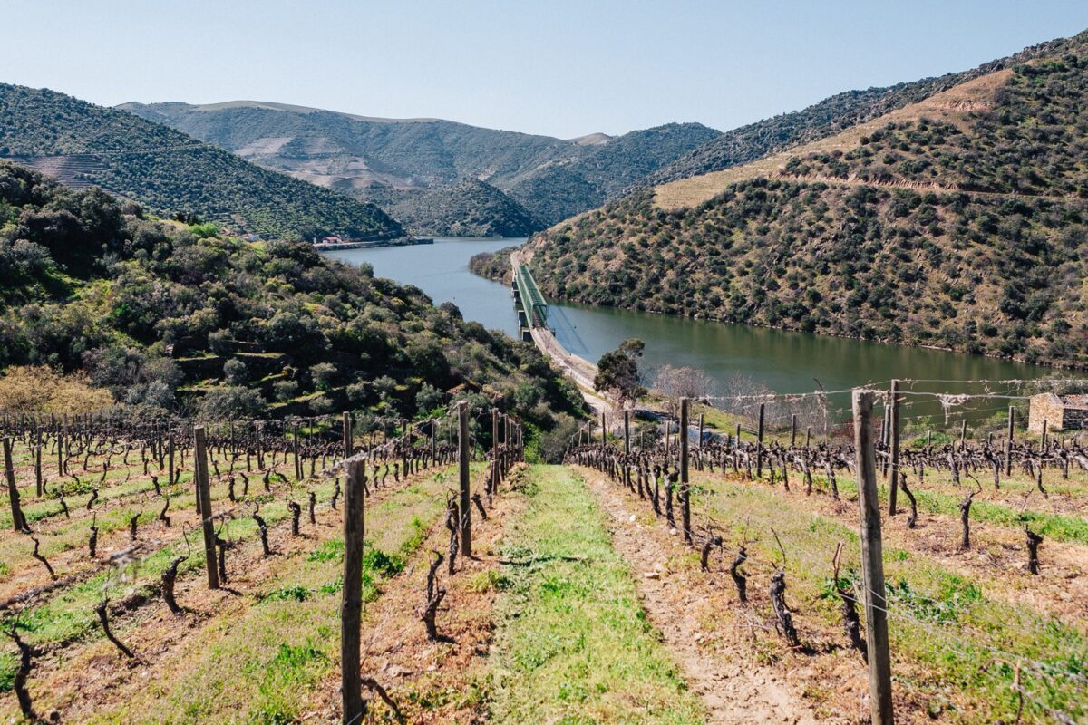 Taylor's - Quinta de Vargellas (4)